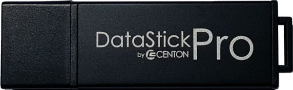 Curry College 256GB DataStick Pro USB 3.0 Flash Drive